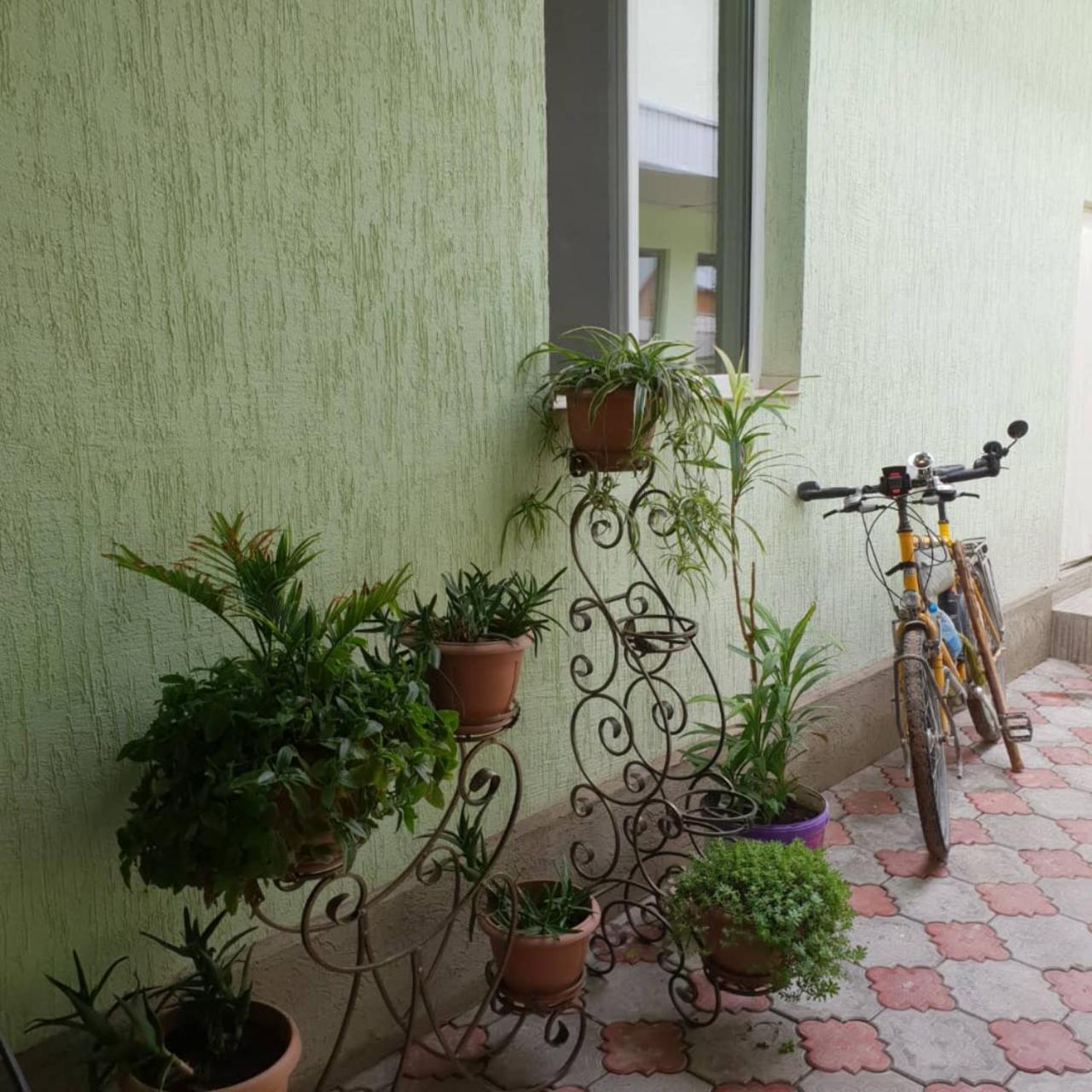 Datka Guest House Naryn 외부 사진